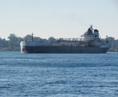 Manitowoc, with a cargo of stone for Grand Haven, met Calumet and they exchanged salutes.