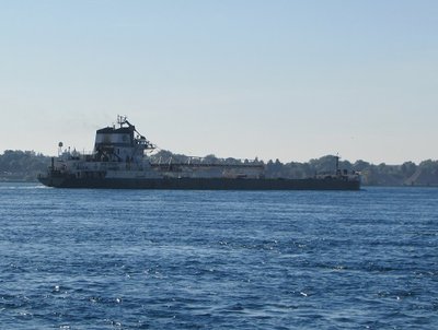 Calumet passing Sarnia, with stone for Cleveland.