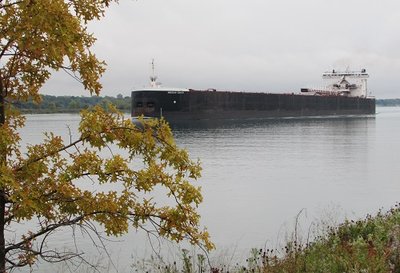 American Century against a backdrop of early fall colors, in ballast for Duluth