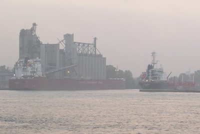 Daybreak found Baie Comeau and Esta Desgagnes moored in the Sarnia Government dock area.