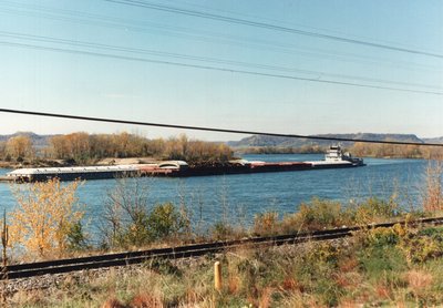 Towboat James E. Hoffman and tow above Winona, MN on the Mississippi. 10/22/88.