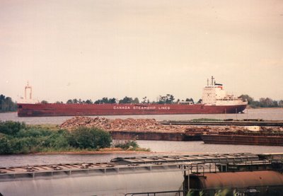 Winnipeg anchored in the Superior Front Channel awaiting BN #5. 8/6/89.