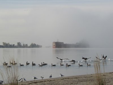 Emerging from an early morning fog bank on the St. Clair River.