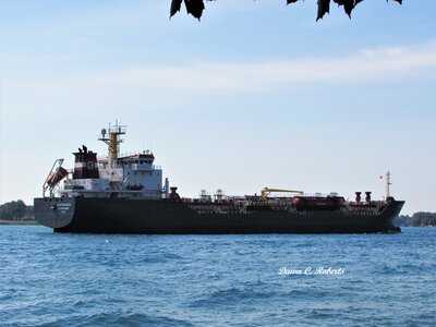Tanker Algocanada down-bound at Marysville.