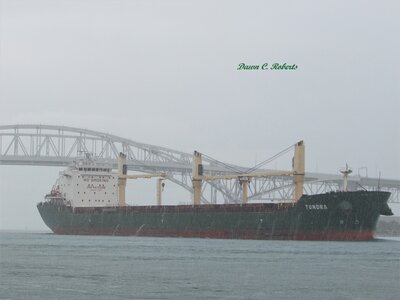Following saltie Tundra (formerly Eider) on AIS, it appeared, from weather radar, that she was in continuous heavy rain from at least Port Sanilac to the Blue Water Bridges and beyond.