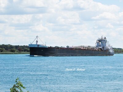Algoma Buffalo (Goderich) approaching Marysville. She stopped for a fill-up at the Corunna/Shell Fuel Dock.