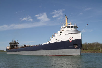Algosteel3a.jpg