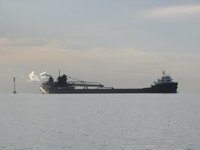 2016-06-30b LAT.jpg (65.69 KiB) Viewed 1761 times Lee A. Tregurtha coming off Lake St. Clair, as the early morning sun enhances her white plume.