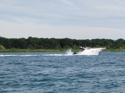 ...or speeding on the St. Clair River!