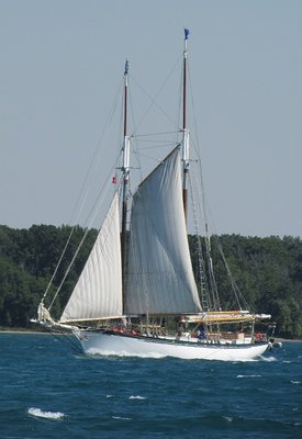 2016-07-12l Appledore IV.jpg (98.75 KiB) Viewed 2971 times Later in the day, Tall Ship Appledore IV came past.