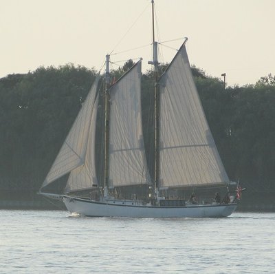 2016-07-12k Appledore V.jpg (99.6 KiB) Viewed 2928 times Tall Ship Appledore V was out early, in the morning mist.