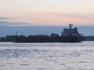 2016-07-12d Algonova.jpg (102.96 KiB) Viewed 2971 times Algonova in first light as she headed to Sault Ste. Marie.