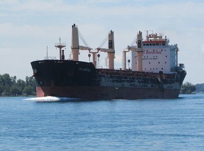 2016-07-26a Belasitza.jpg (90.17 KiB) Viewed 2414 times Belasitza (Malta) with cargo for Burns Harbor.
