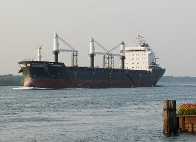 Saltie Marbacan is scheduled to load at Duluth.