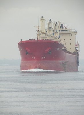 2016-08-15bFed_Rhine.jpg (67.16 KiB) Viewed 2037 times Federal Rhine, sitting high in ballast, on her way to Duluth.