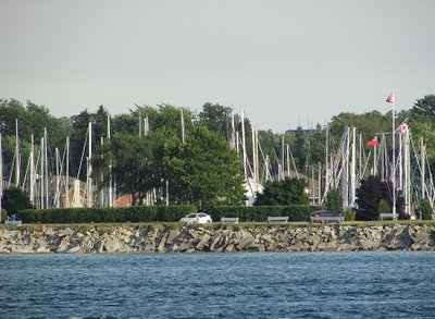 Looking across to Sarnia and the array of sailboat masts in the marina.