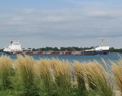 Tim S. Dool carrying unspecified cargo to Hamilton.  (Those white stripes on the mid-section suggests a load of salt from Goderich.)