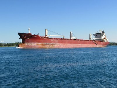 Saltie Federal Sakura (Panama) is scheduled to load at Thunder Bay.