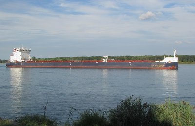 2016-09-09f AlgoHarvester.jpg (96.91 KiB) Viewed 1670 times Algoma Harvester reflects the late day sun, down-bound to Baie Comeau. A resident along the river commented she'd not seen this ship in some time.