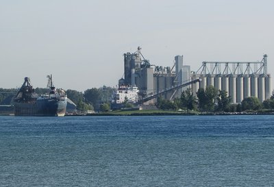 2016-09-13a Algorail & Algowood.jpg (116.25 KiB) Viewed 1507 times Algorail, still waiting, as Algowood, loads at the Government Dock in Sarnia.