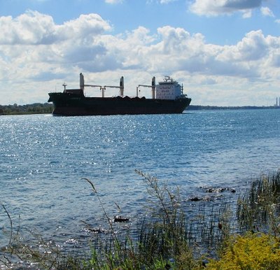 2016-09-12b Labrador.jpg (120.46 KiB) Viewed 1507 times Labrador (Cyprus) in ballast for Thunder Bay.