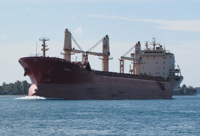 Saltie Orsula (Marshall Islands) in ballast to Thunder Bay.