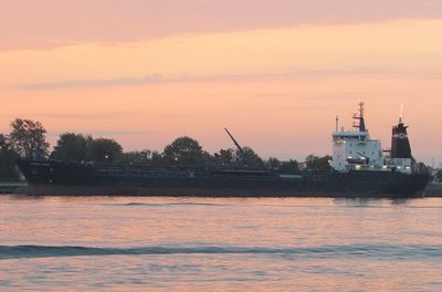 2016-09-23b AlgoHansa.jpg (83.67 KiB) Viewed 1601 times Tanker Algoma Hansa at the Corunna fuel dock. Look closely at her stack. It appears to have a towering flame -- coming from a hidden stack at the near-by petrochemical facility.