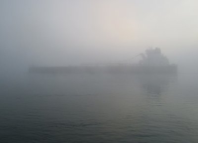 2016-11-06b Am_Mariner.jpg (53.06 KiB) Viewed 1932 times A little later, the American Mariner's throaty fog horn stated her presence as she came up river, with a destination of Green Bay.