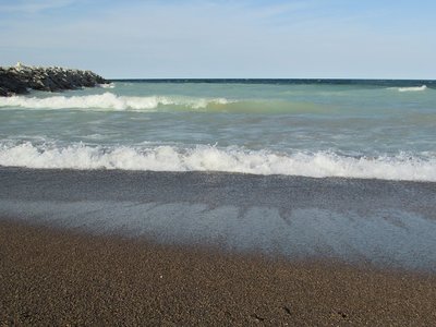 2017-04-24a Surfs up!.jpg (156.02 KiB) Viewed 1770 times Later, a pair of geese were having a great time riding the swells!