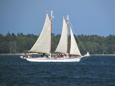 2017-06-04c Appledore V in full sail.jpg