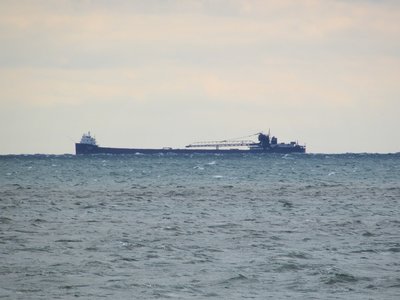 A closer view of Ms. B.