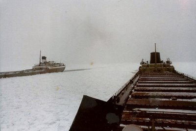 white 20002.jpg