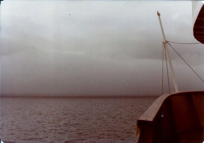 fog1.jpg