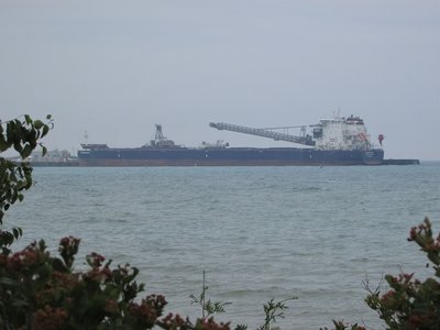 Algoma Sault at Stoneport.