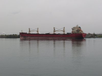 Federal Alster passes my vantage point with a destination of Goderich, Ont. Canada.