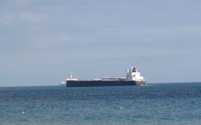 H. Lee White (Calcite) passing ships in the Sarnia anchorage.