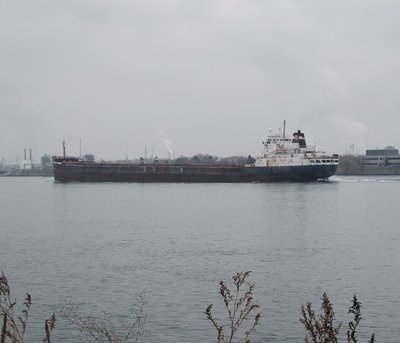 Tim S. Dool (Sarnia) passing through Chemical Valley.