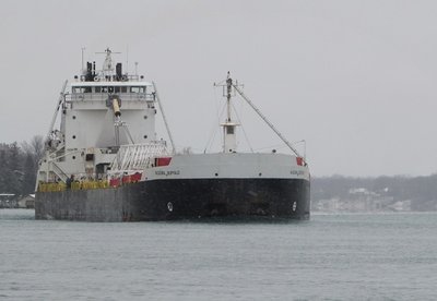Bow-on view of Algoma Buffalo.