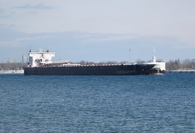 Showing remnants of her icy Lake Superior crossing, American Century was down-bound under sunny skies with coal for the RECOR/St. Clair Power Plant.