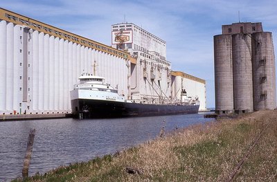 Loading a cargo of grain for Milwaukee WI.<br />on Mapleglen
