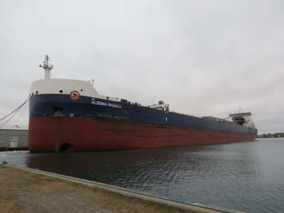 Algoma Niagara at Sarnia Government dock.