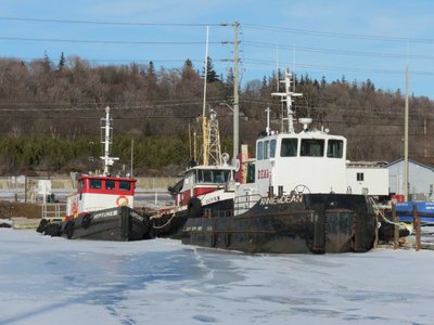 Tugs Annie M Dean, Neptune III and Dover.
