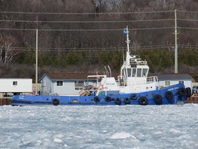 Ocean Group Tug Ocean Golf.