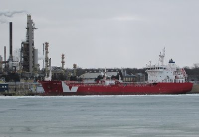 2019-02-25b IverBright.jpg