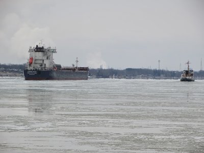 Algoma Sault still meandering as USCG Neah Bay passes her south of Marysville.