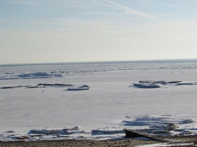 2019-03-08c Lakeside.jpg