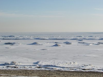 2019-03-08b Lakeside.jpg