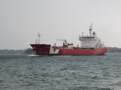 2019-03-14a IverBright.jpg