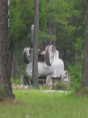 Train & Garden 001.JPG
