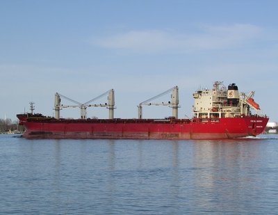Federal Saguenay (Chicago) was the last ship I was able to photograph. The camera battery insisted it couldn't take just one more -- of the Algoma Discovery!